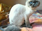  foto       ,    , 67764643  