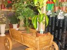  foto       33881737  